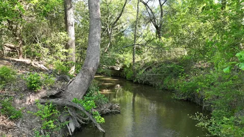 County Road 127