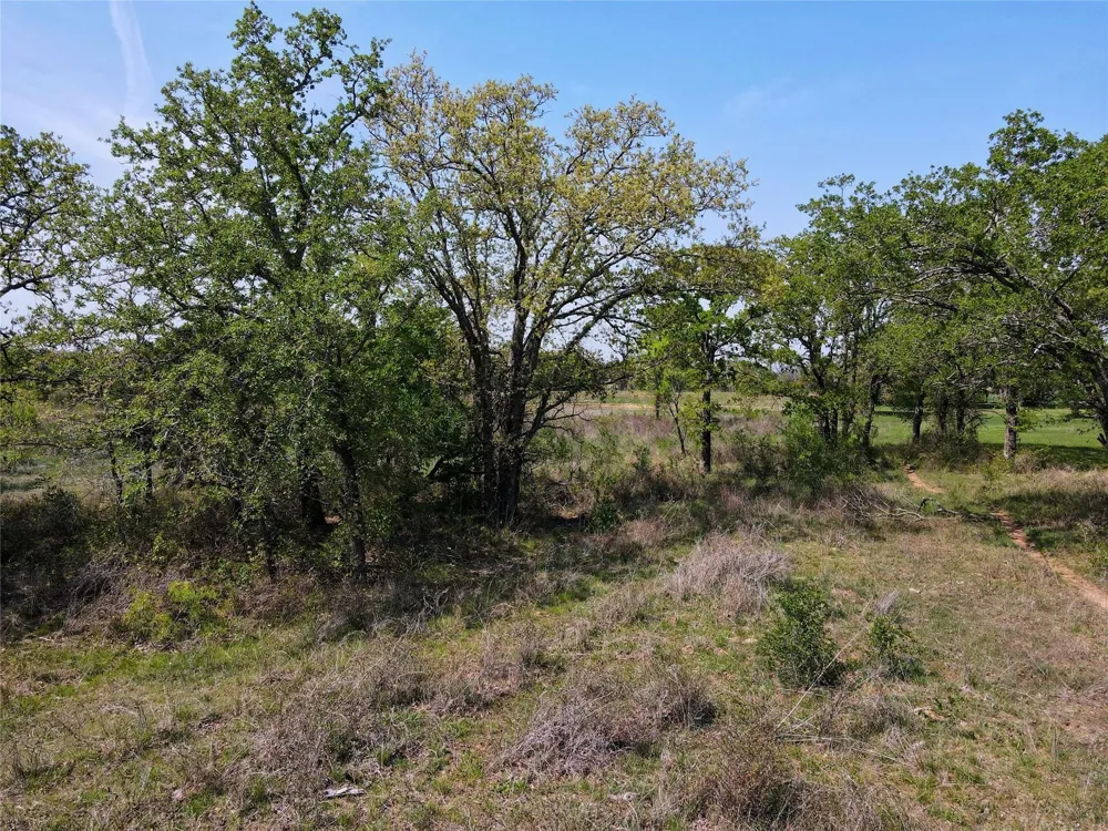 Paradise Oaks Ranch Perrin, TX 76487