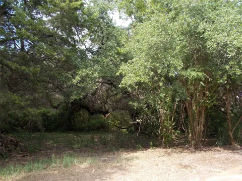 355 Rainbow Drive