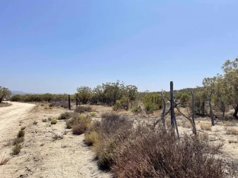 Camino Vecinal