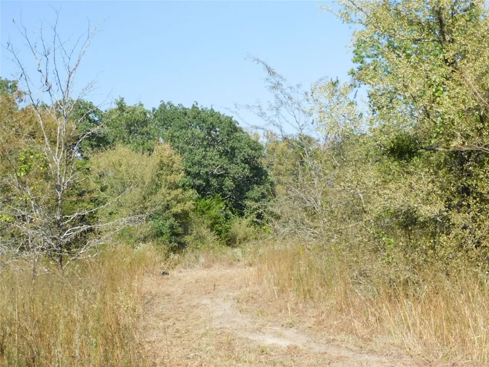 451 HCR3335 ROAD Hubbard, TX 76648