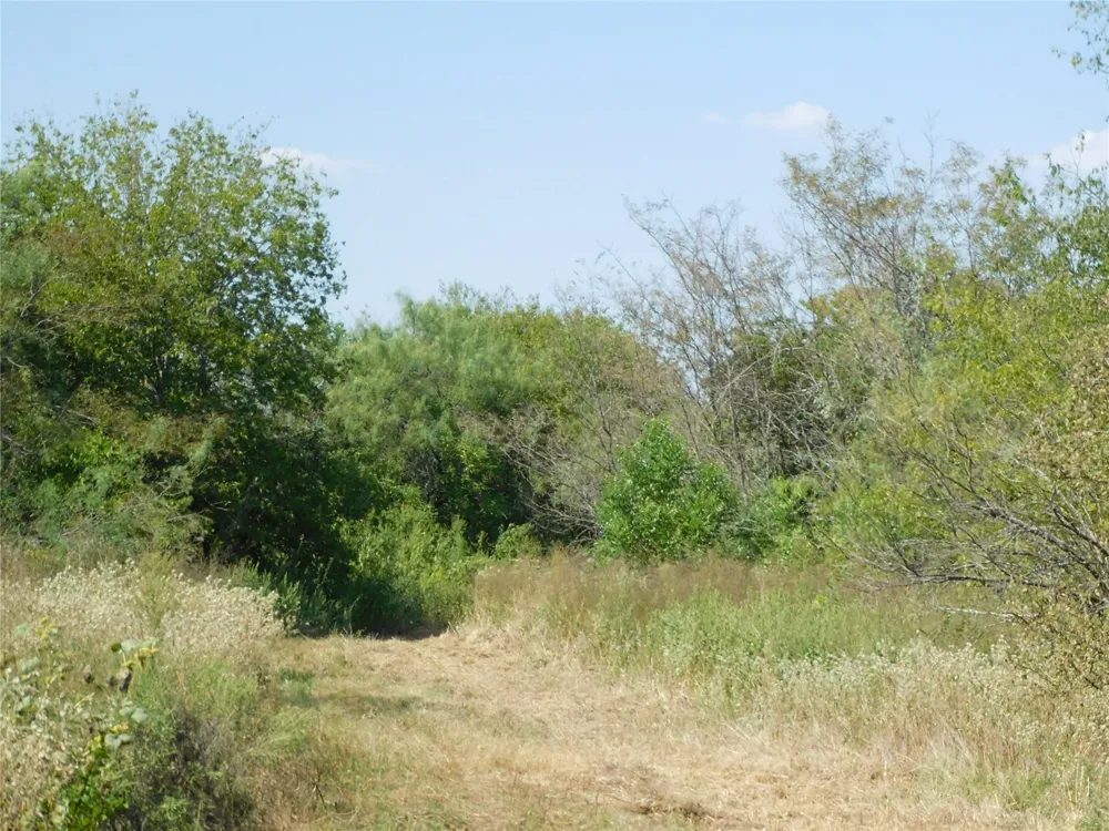 451 HCR3335 ROAD Hubbard, TX 76648