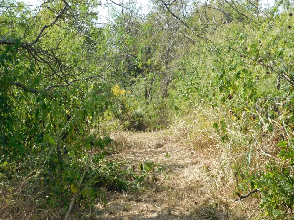 451 HCR3335 ROAD Hubbard, TX 76648