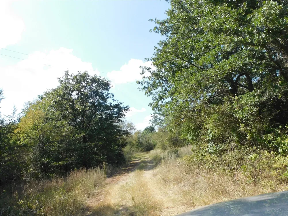 451 HCR3335 ROAD Hubbard, TX 76648
