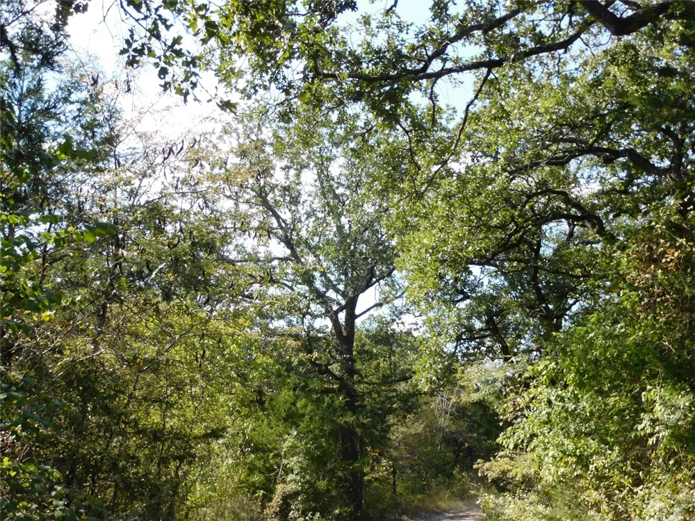 451 HCR3335 ROAD Hubbard, TX 76648