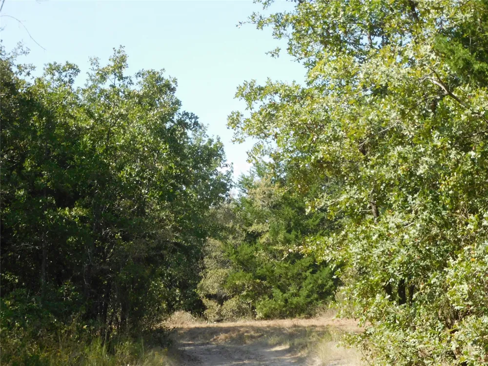 451 HCR3335 ROAD Hubbard, TX 76648