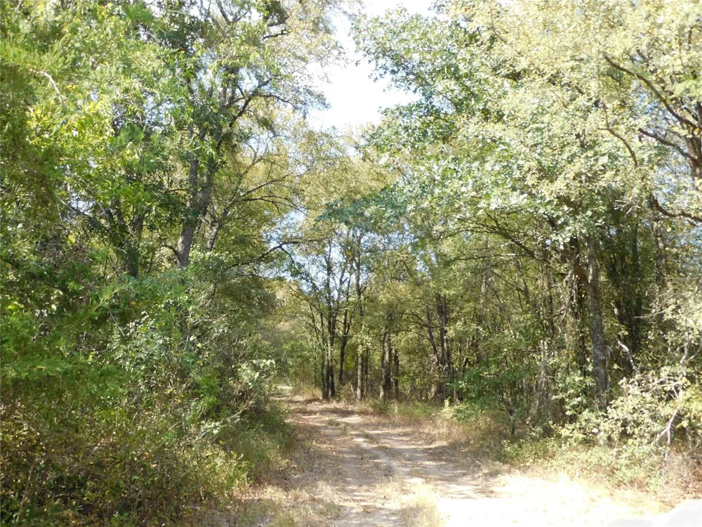451 HCR3335 ROAD Hubbard, TX 76648