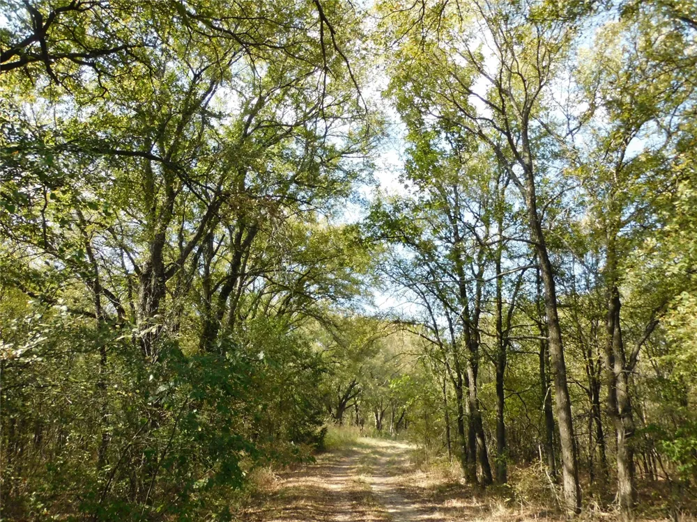 451 HCR3335 ROAD Hubbard, TX 76648