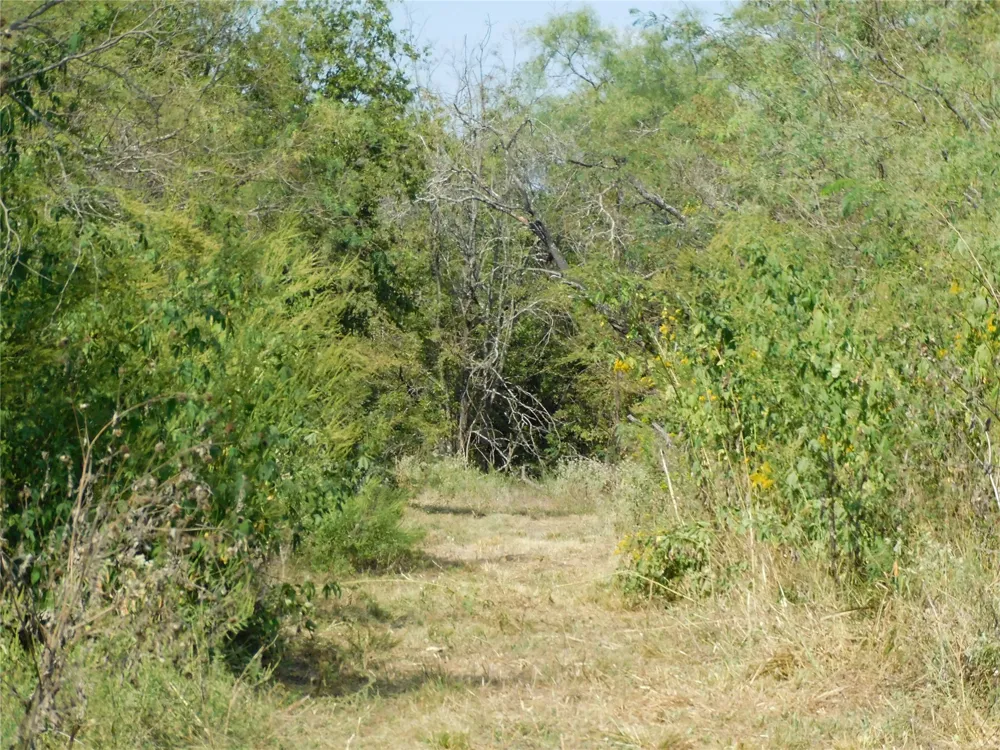 451 HCR3335 ROAD Hubbard, TX 76648