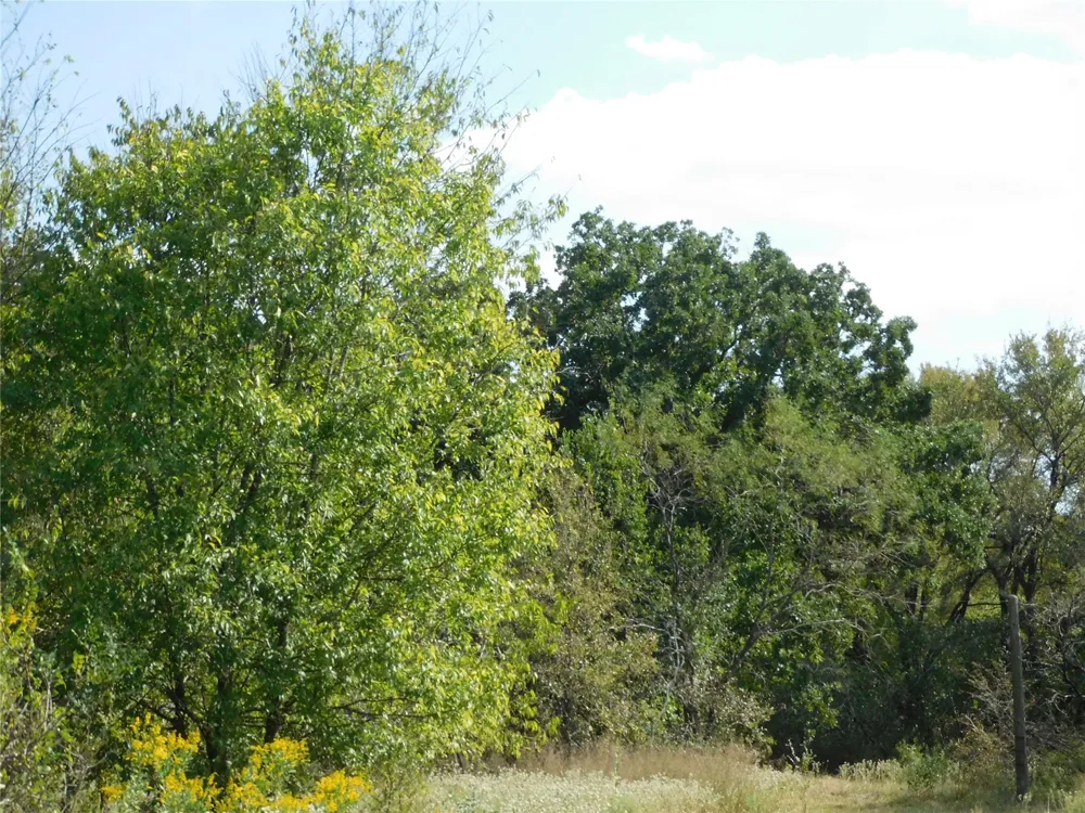 451 HCR3335 ROAD Hubbard, TX 76648