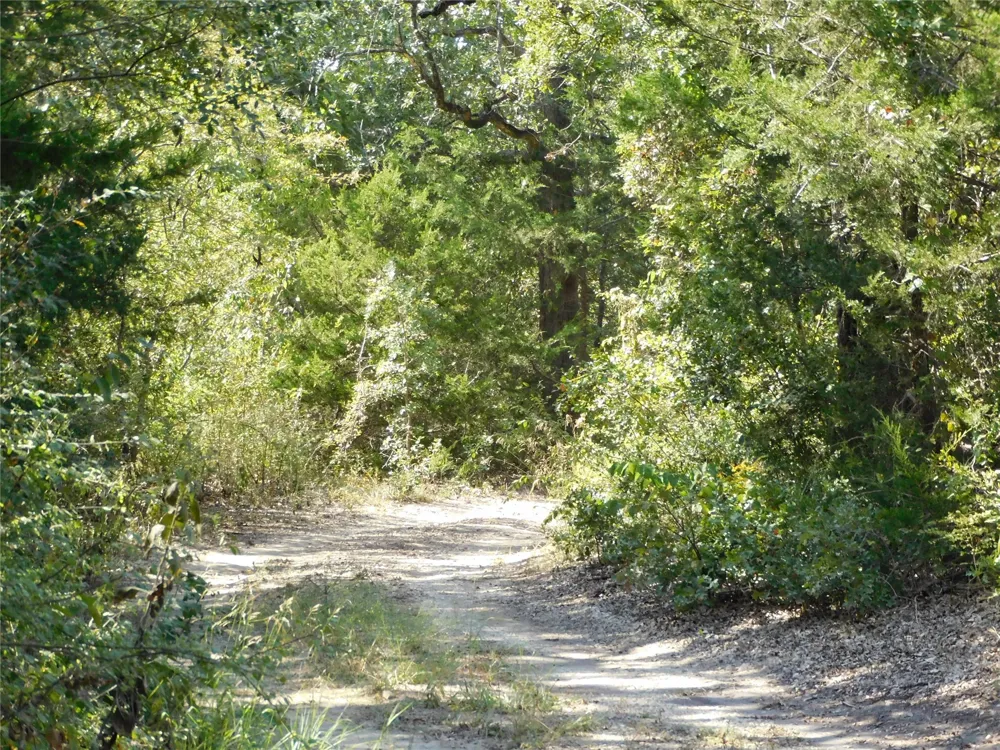 451 HCR3335 ROAD Hubbard, TX 76648