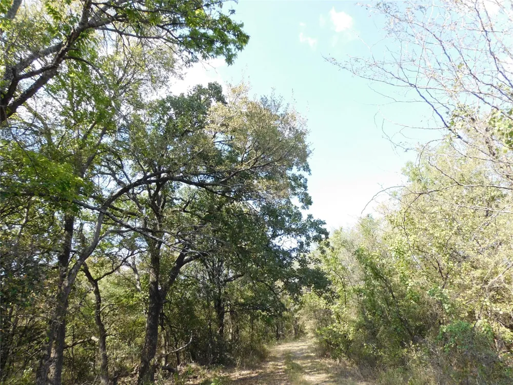 451 HCR3335 ROAD Hubbard, TX 76648