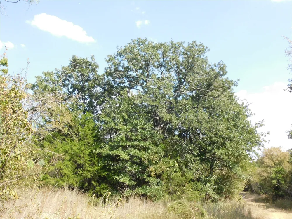 451 HCR3335 ROAD Hubbard, TX 76648