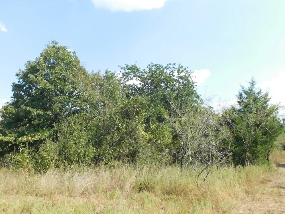 451 HCR3335 ROAD Hubbard, TX 76648