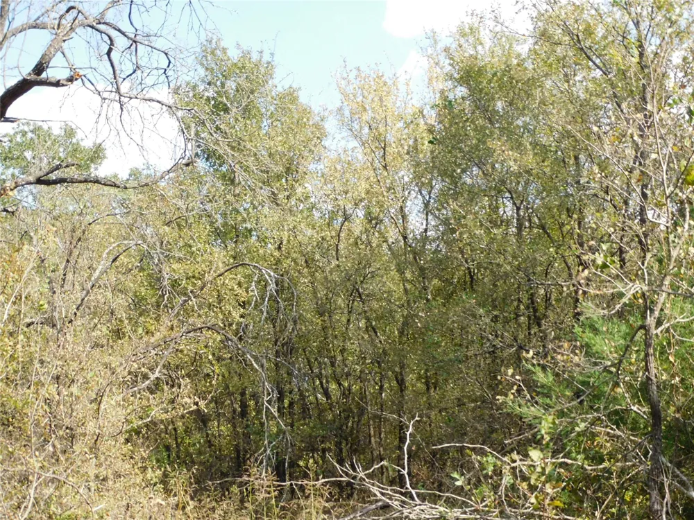 451 HCR3335 ROAD Hubbard, TX 76648