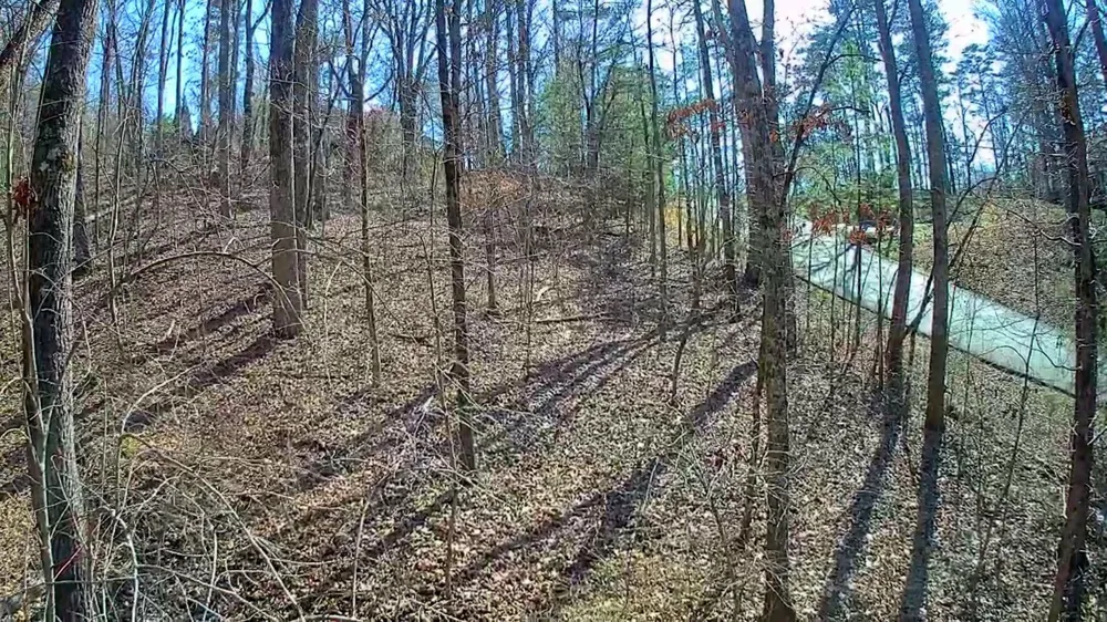 Northwoods Lane Trenton, GA 30752