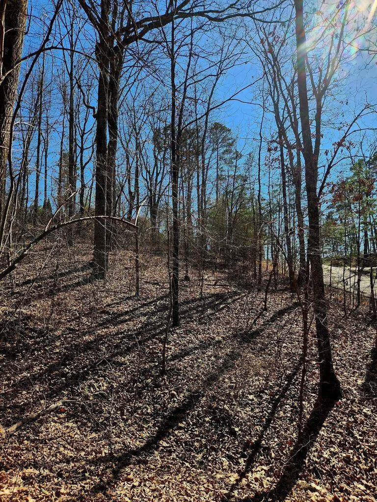 Northwoods Lane Trenton, GA 30752