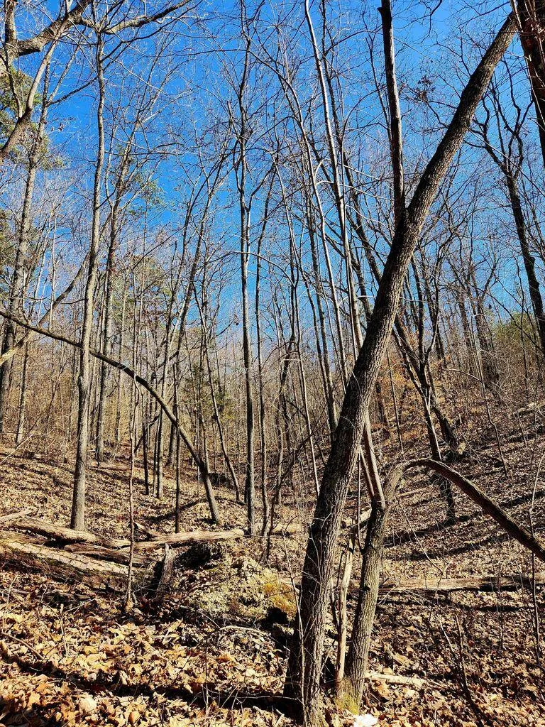 Northwoods Lane Trenton, GA 30752
