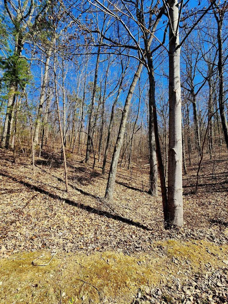 Northwoods Lane Trenton, GA 30752