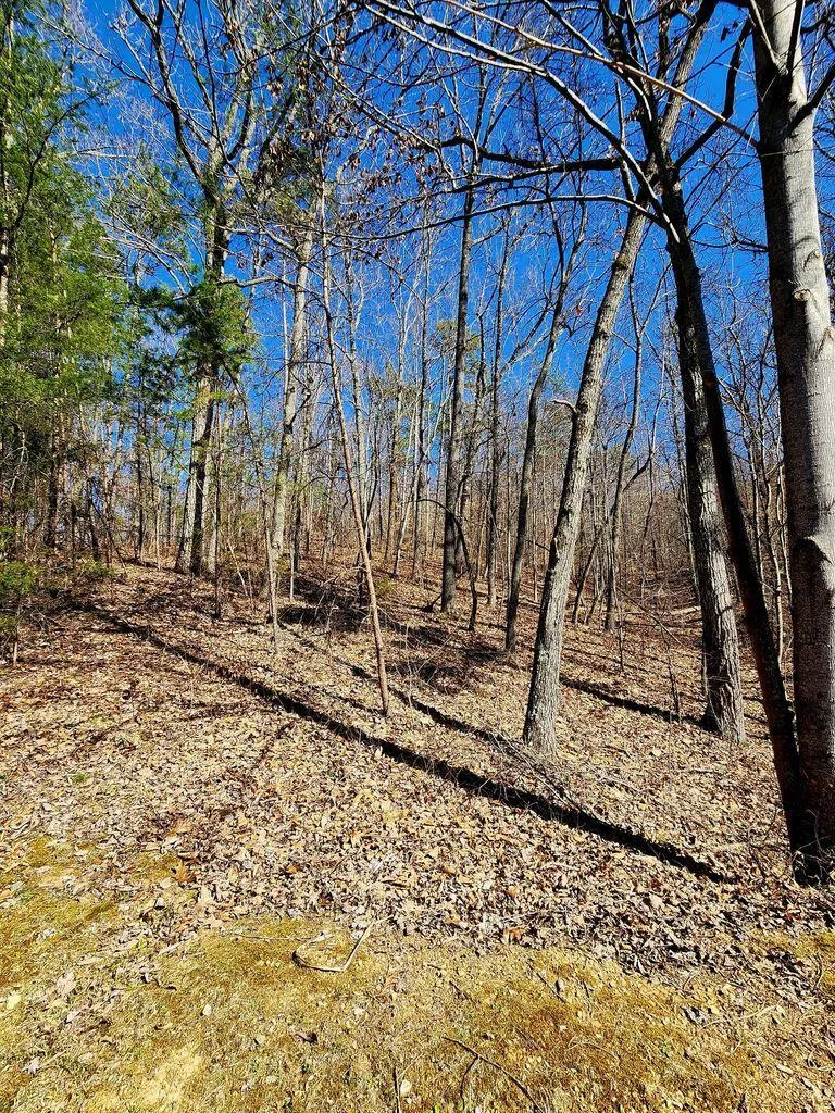 Northwoods Lane Trenton, GA 30752