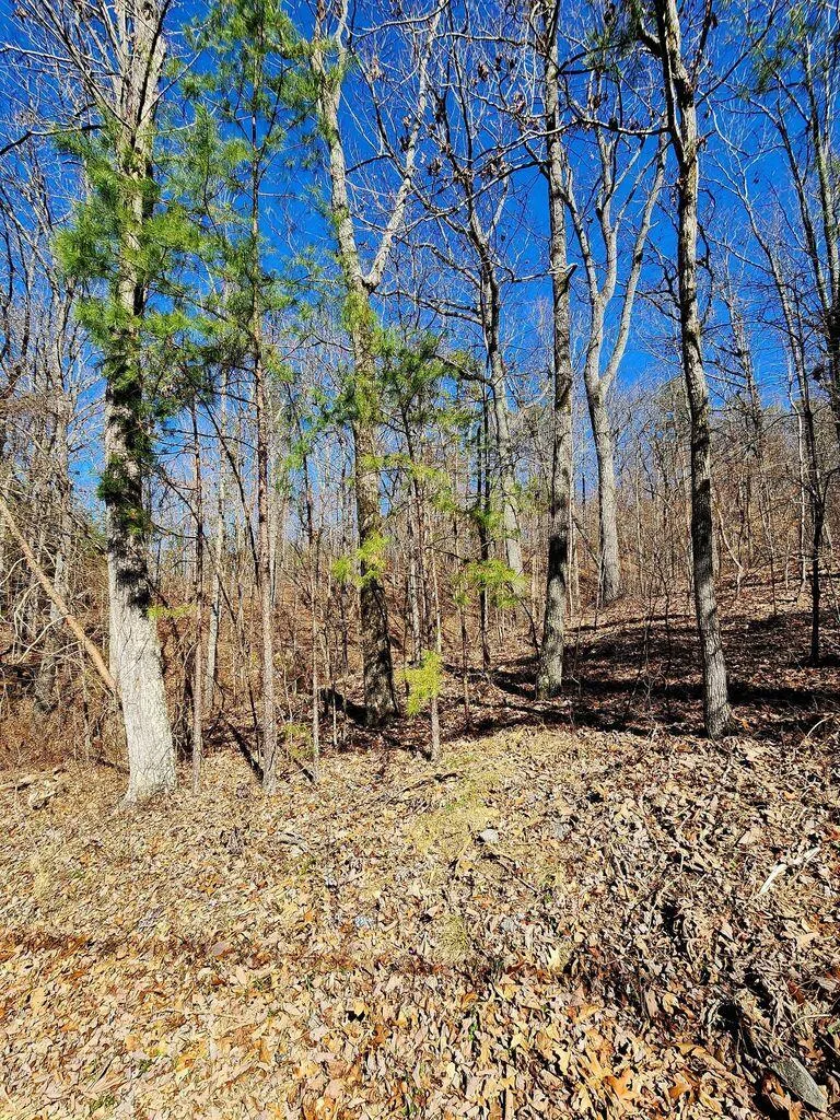Northwoods Lane Trenton, GA 30752