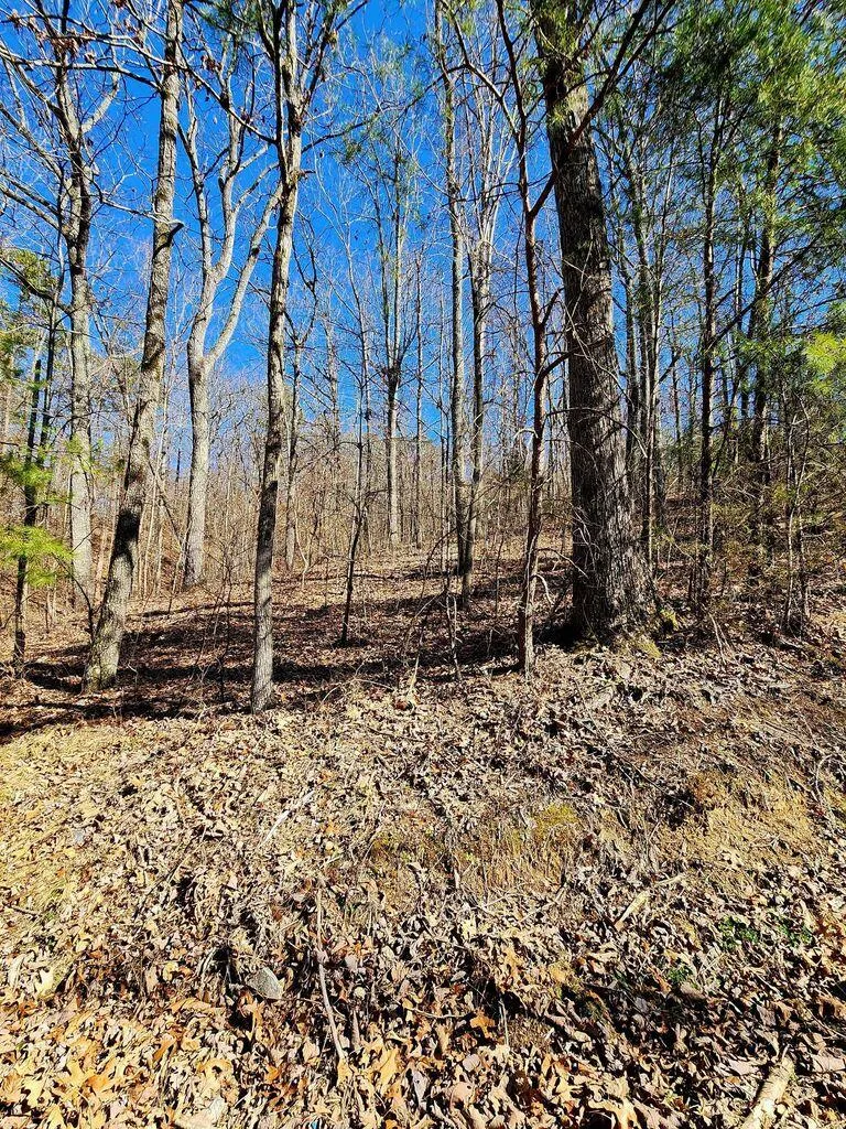 Northwoods Lane Trenton, GA 30752