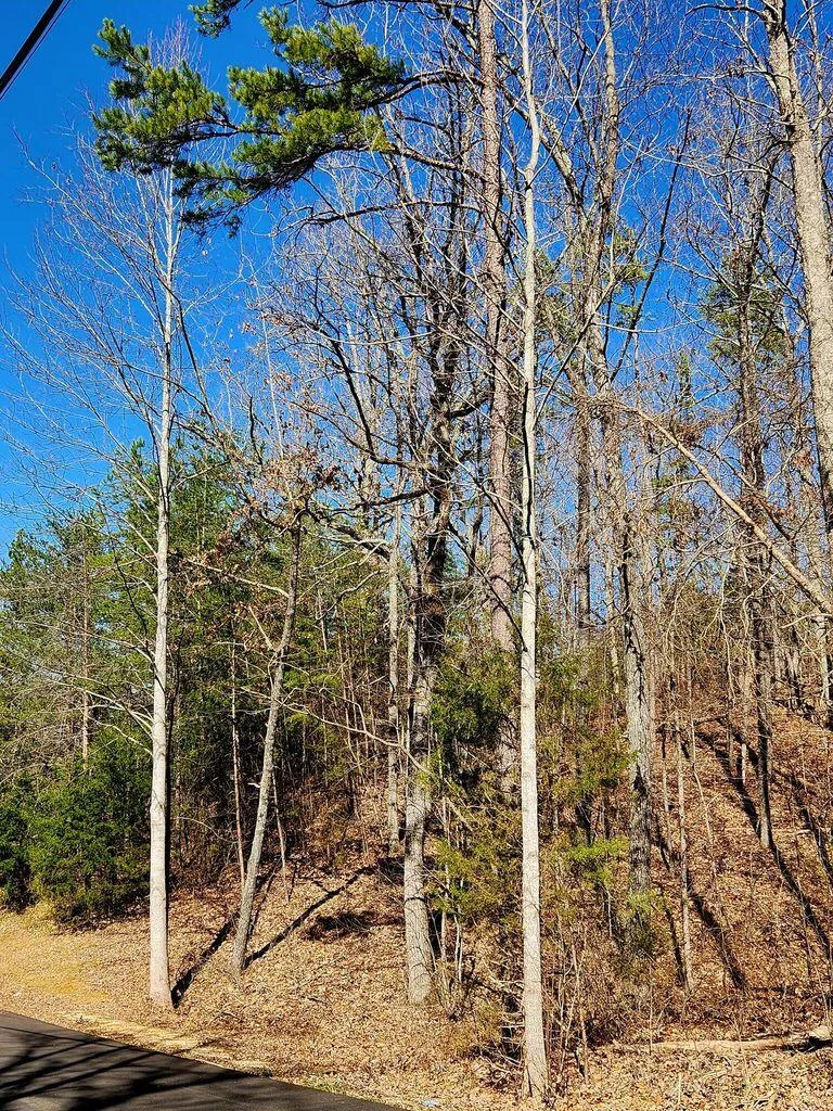 Northwoods Lane Trenton, GA 30752