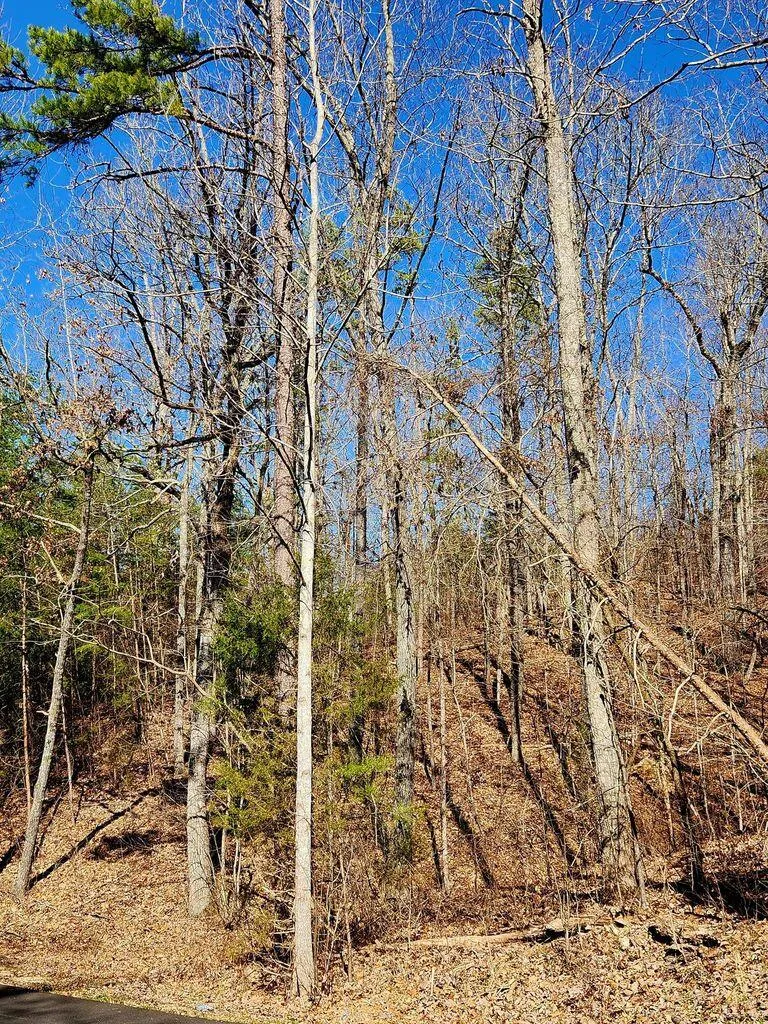 Northwoods Lane Trenton, GA 30752
