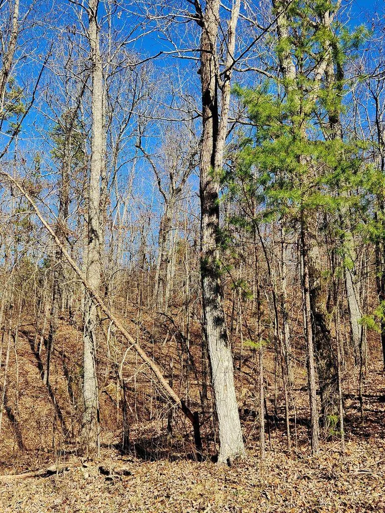 Northwoods Lane Trenton, GA 30752