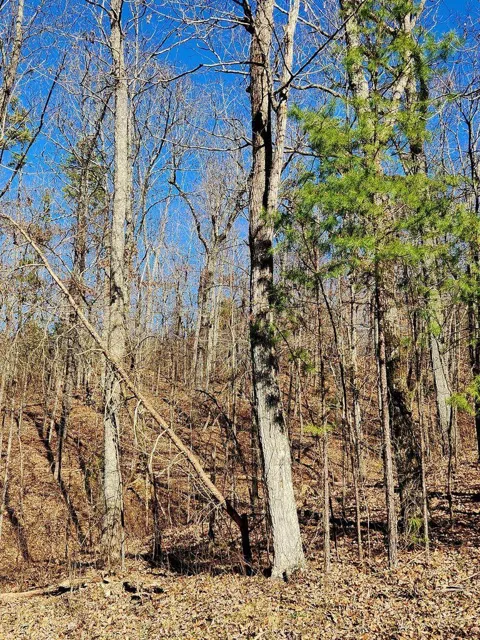 Northwoods Lane