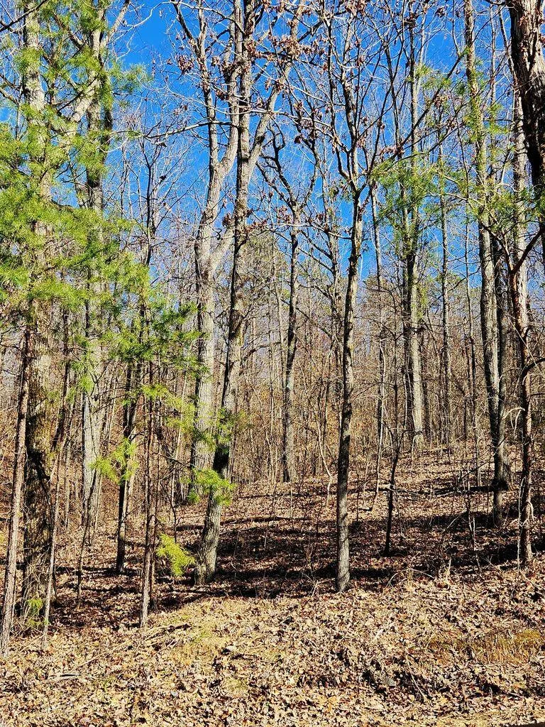 Northwoods Lane Trenton, GA 30752
