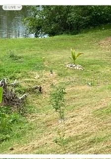 1 MONTECARLO #149 Humacao, PR 00791