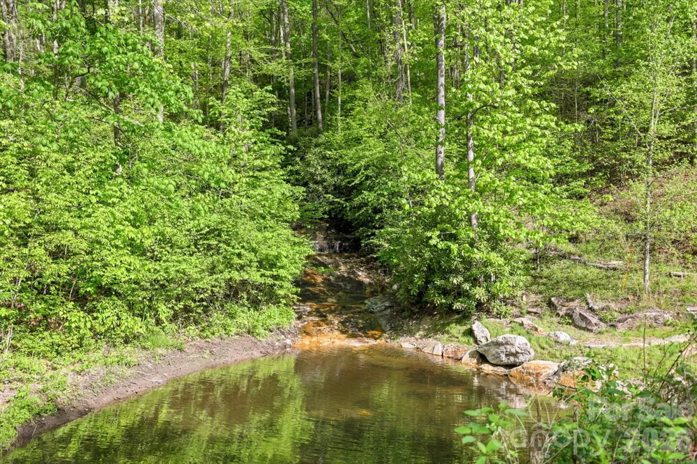 31 Waterdance Drive Cullowhee, NC 28723