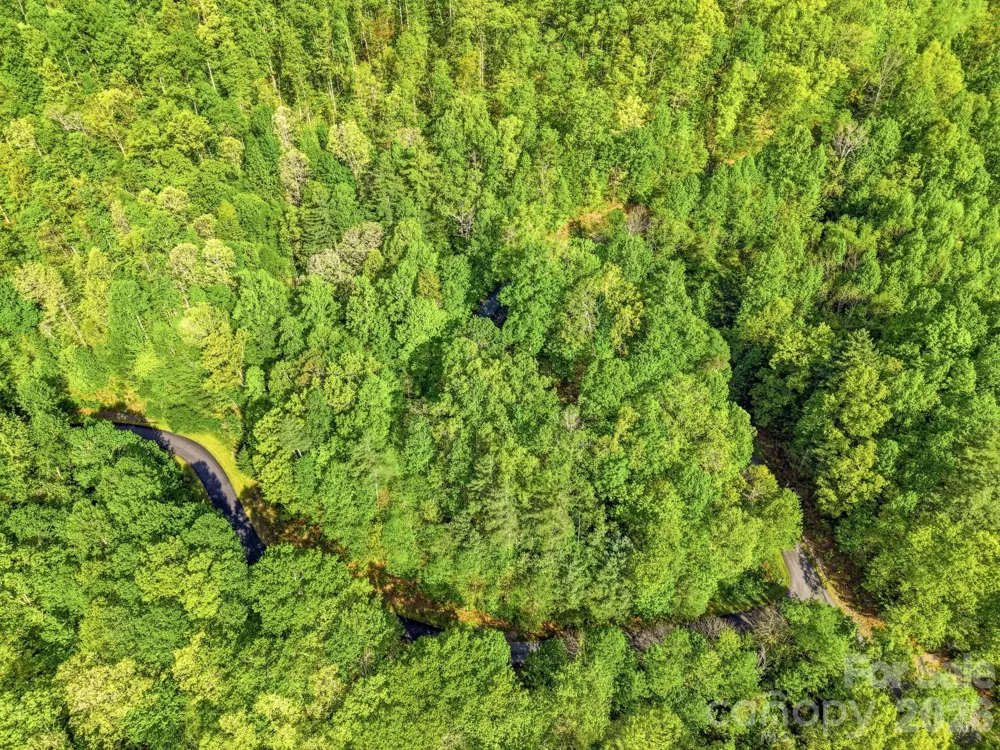 31 Waterdance Drive Cullowhee, NC 28723