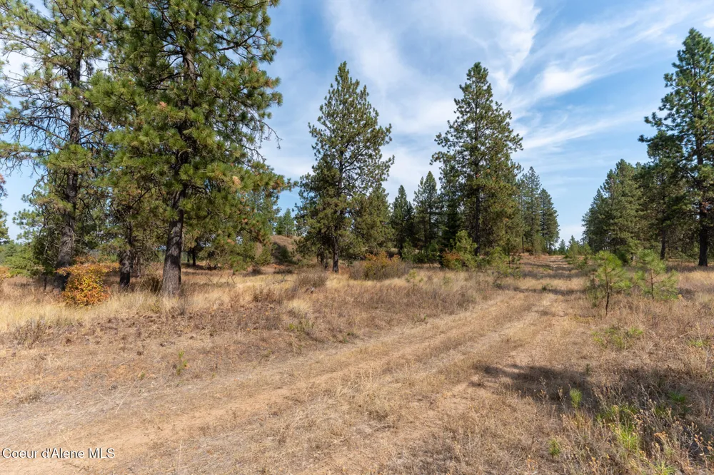 NKA 42-Ac Incline Drive Harrison, ID 83833