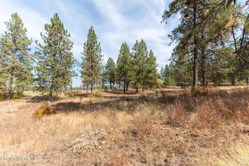 NKA 42-Ac Incline Drive Harrison, ID 83833