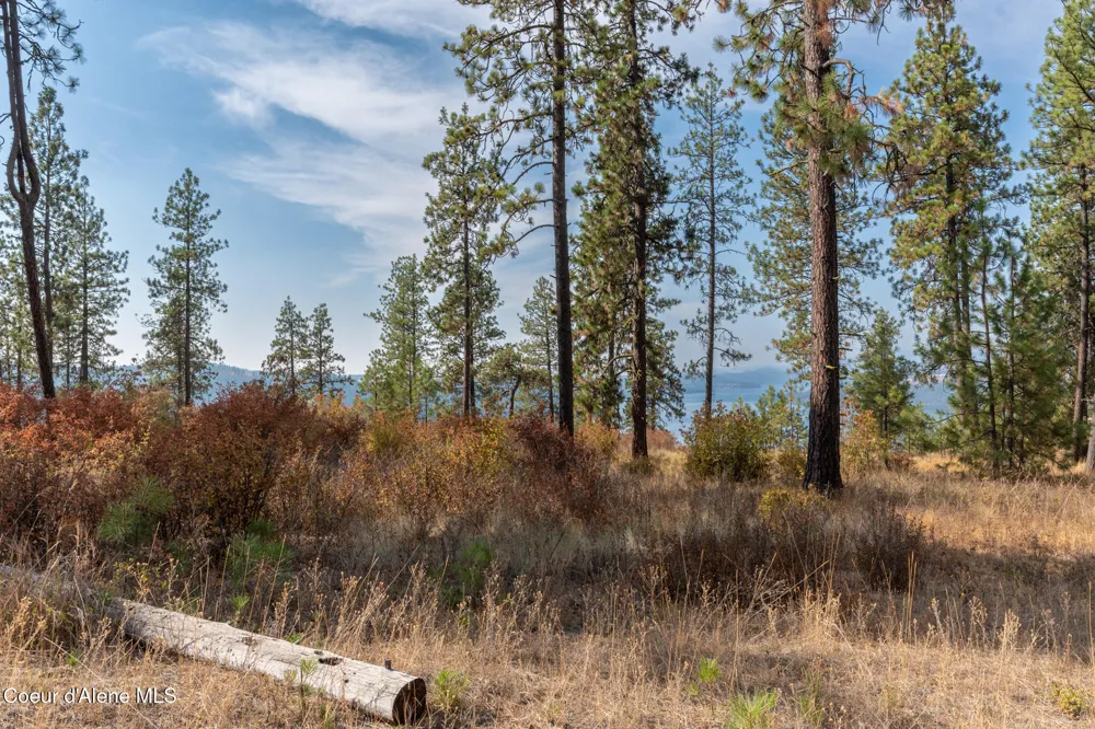 NKA 42-Ac Incline Drive Harrison, ID 83833