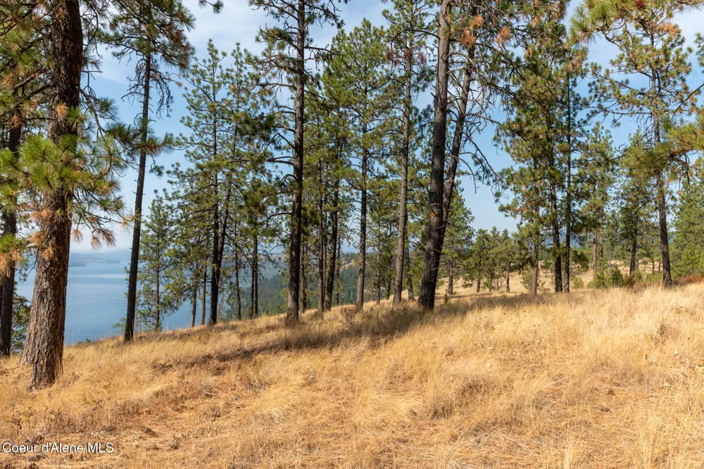 NKA 42-Ac Incline Drive Harrison, ID 83833