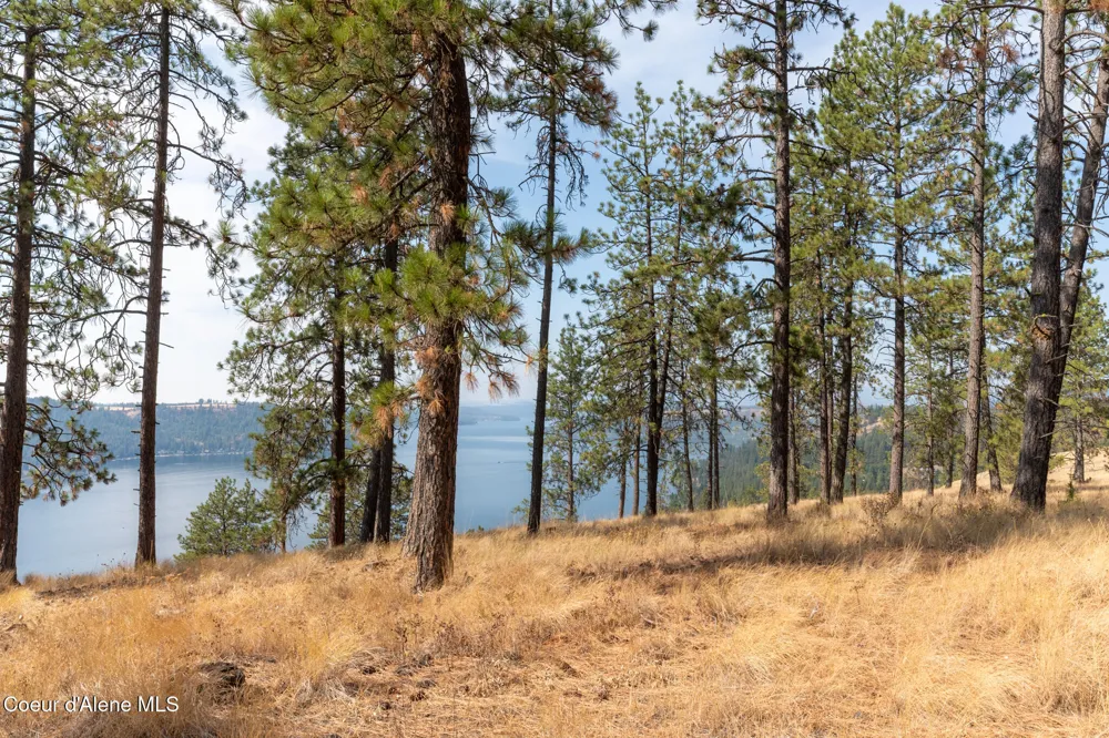 NKA 42-Ac Incline Drive Harrison, ID 83833