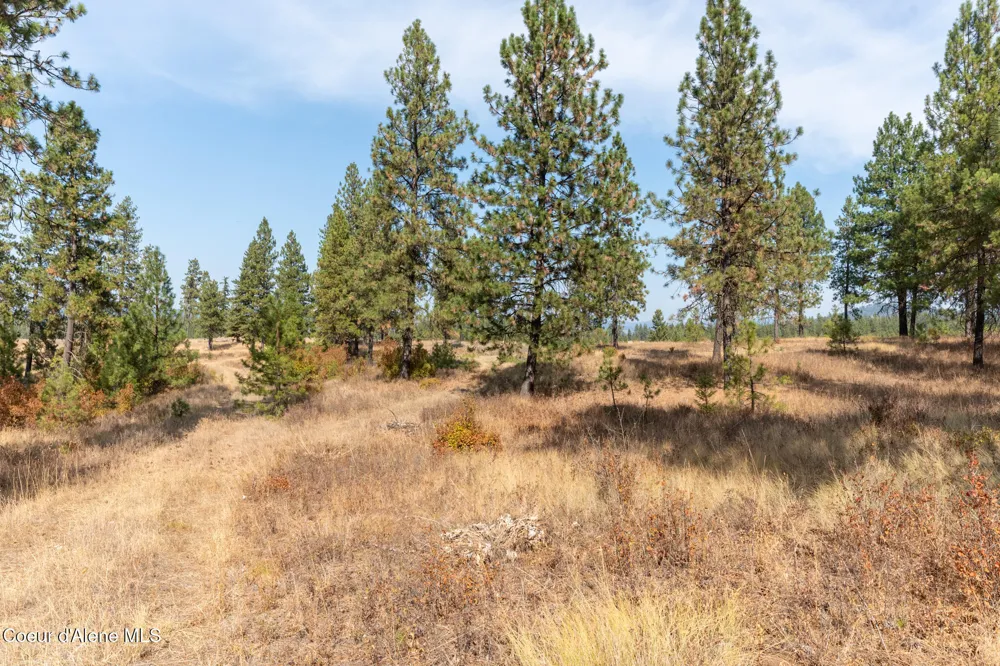 NKA 42-Ac Incline Drive Harrison, ID 83833