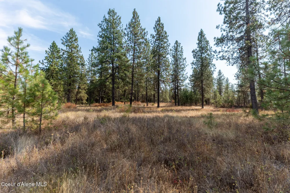 NKA 42-Ac Incline Drive Harrison, ID 83833