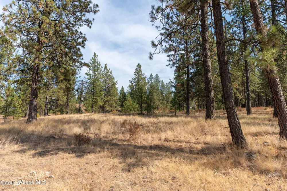 NKA 42-Ac Incline Drive Harrison, ID 83833