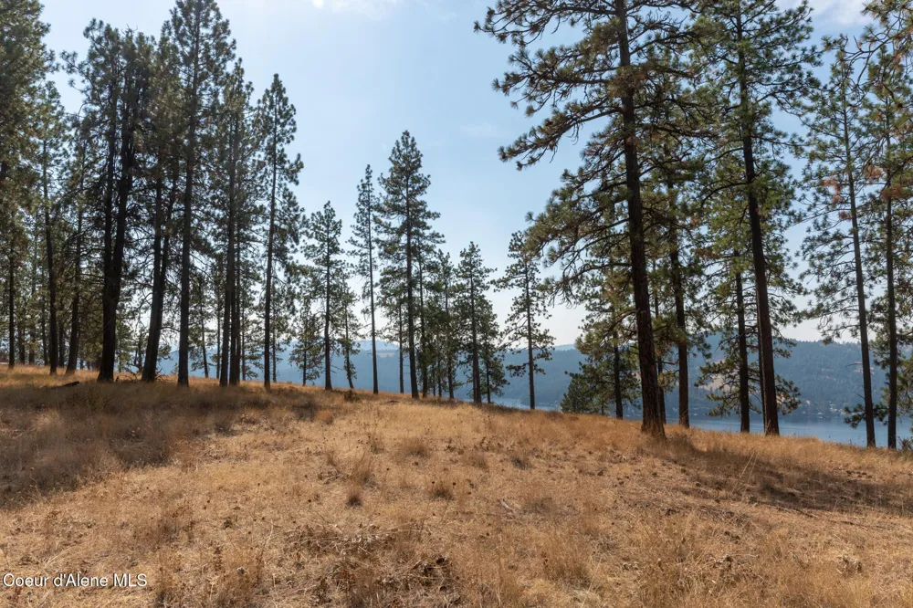 NKA 42-Ac Incline Drive Harrison, ID 83833