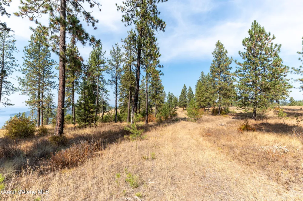 NKA 42-Ac Incline Drive Harrison, ID 83833