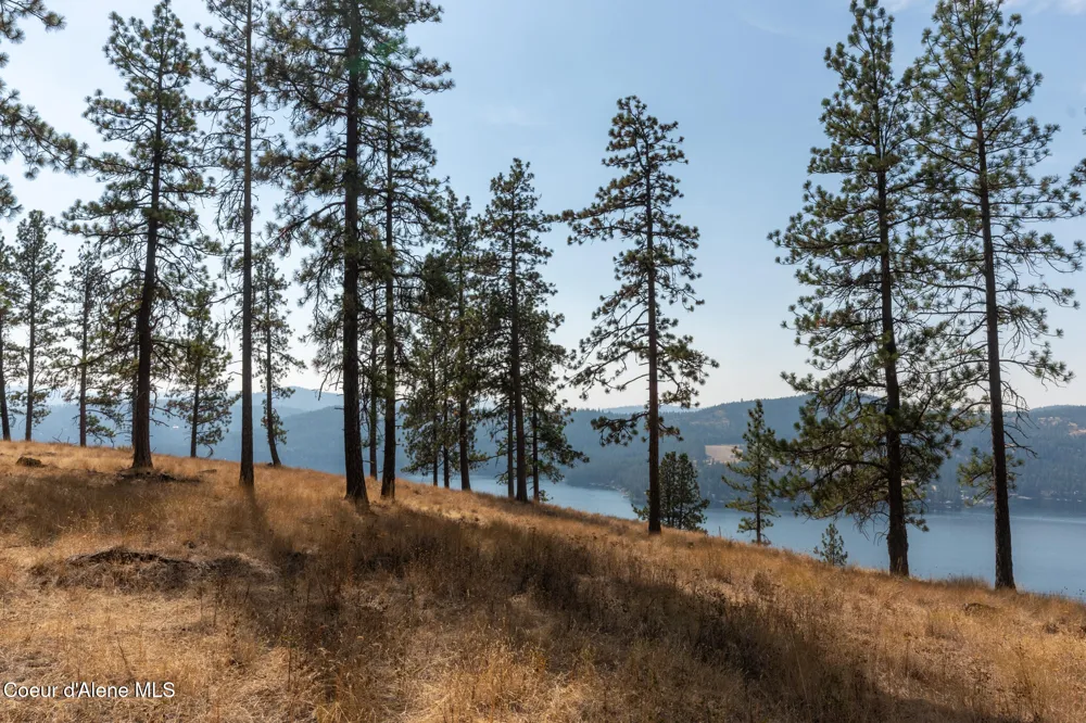 NKA 42-Ac Incline Drive Harrison, ID 83833