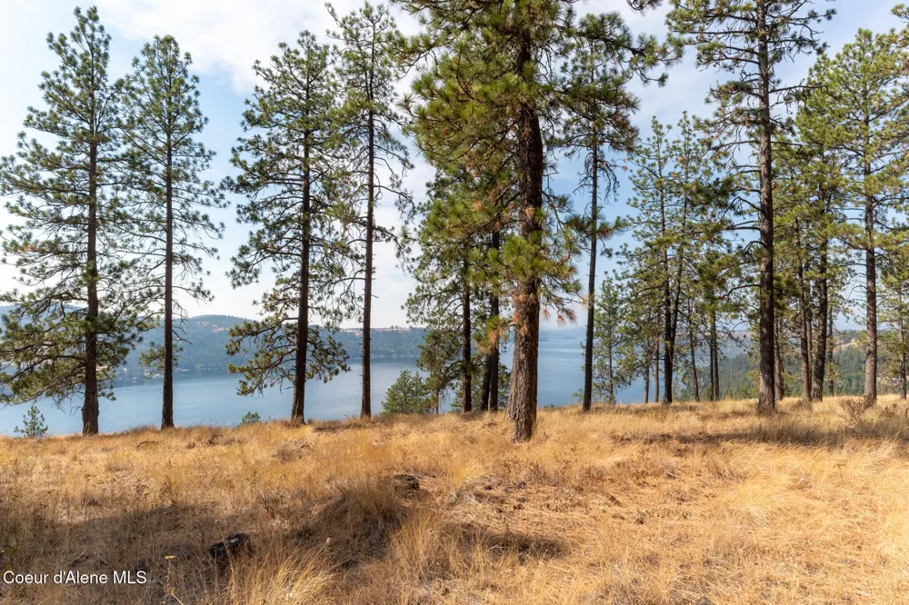 NKA 42-Ac Incline Drive Harrison, ID 83833