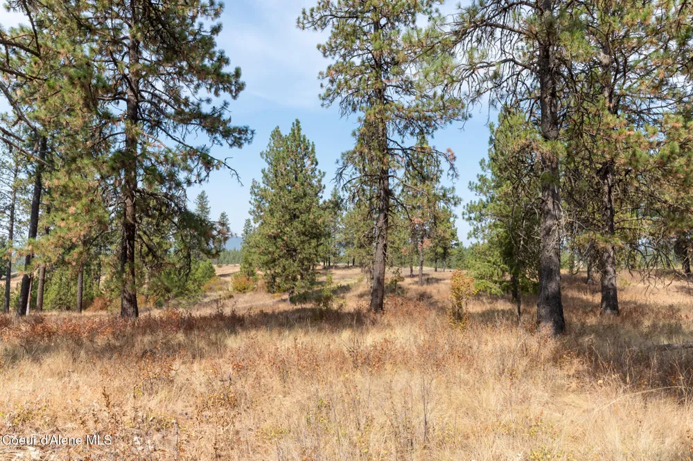 NKA 42-Ac Incline Drive Harrison, ID 83833