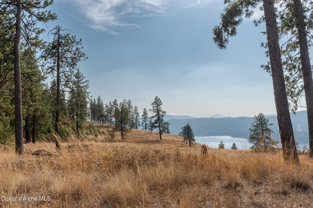 NKA 42-Ac Incline Drive Harrison, ID 83833