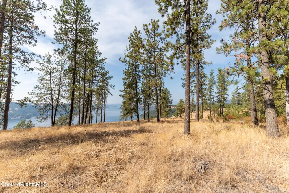 NKA 42-Ac Incline Drive Harrison, ID 83833