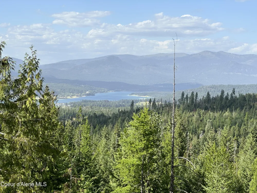 NKA 20-AC Schneiders Road Sagle, ID 83860